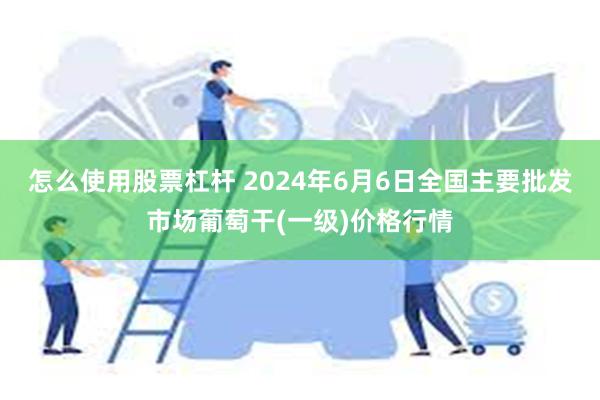 怎么使用股票杠杆 2024年6月6日全国主要批发市场葡萄干(一级)价格行情