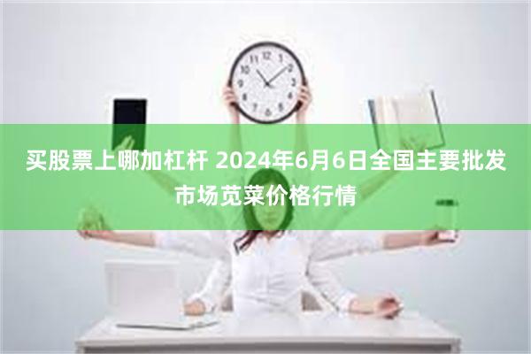 买股票上哪加杠杆 2024年6月6日全国主要批发市场苋菜