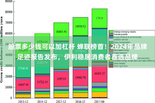 股票多少钱可以加杠杆 蝉联榜首！2024年品牌足迹报告发