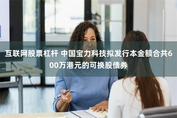 互联网股票杠杆 中国宝力科技拟发行本金额合共600万港元