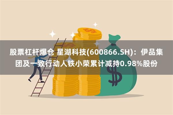 股票杠杆爆仓 星湖科技(600866.SH)：伊品集团及