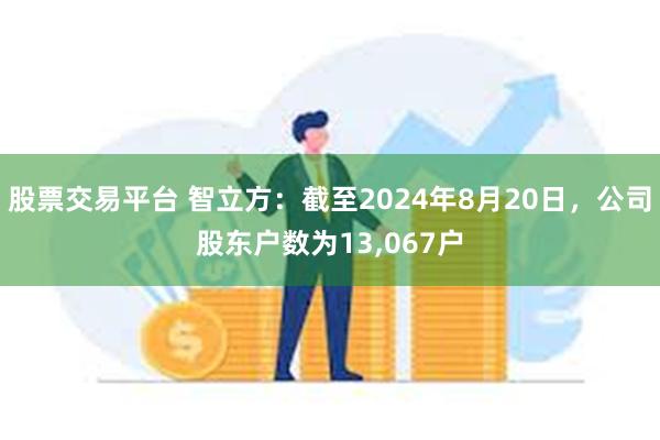 股票交易平台 智立方：截至2024年8月20日，公司股东户数为13,067户