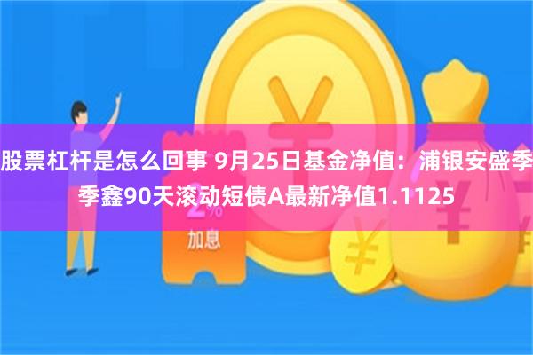 股票杠杆是怎么回事 9月25日基金净值：浦银安盛季季鑫9