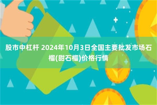 股市中杠杆 2024年10月3日全国主要批发市场石榴(甜