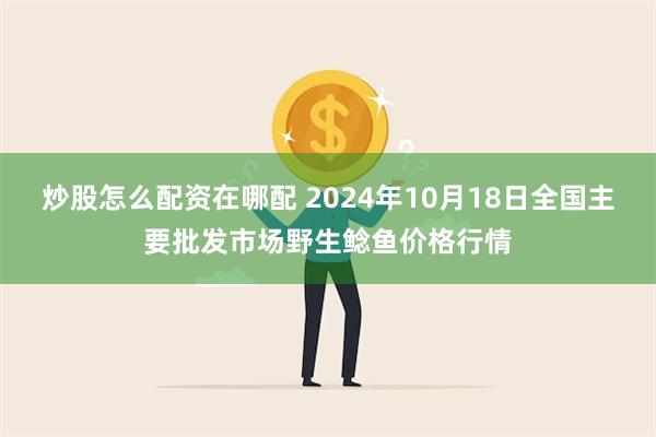 炒股怎么配资在哪配 2024年10月18日全国主要批发市场野生鲶鱼价格行情