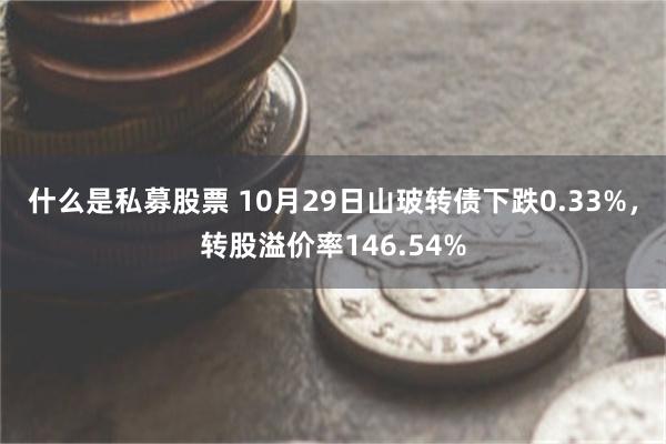 什么是私募股票 10月29日山玻转债下跌0.33%，转股