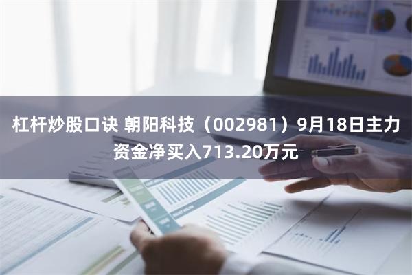 杠杆炒股口诀 朝阳科技（002981）9月18日主力资金