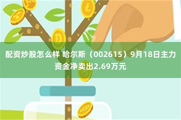 配资炒股怎么样 哈尔斯（002615）9月18日主力资金