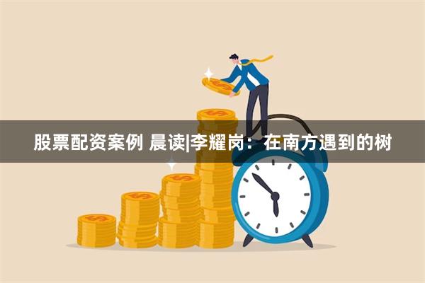 股票配资案例 晨读|李耀岗：在南方遇到的树