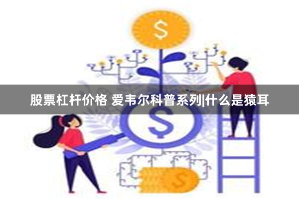 股票杠杆价格 爱韦尔科普系列|什么是猿耳