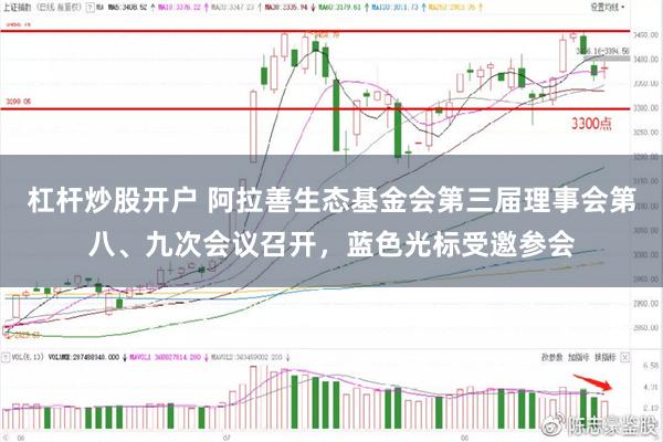 杠杆炒股开户 阿拉善生态基金会第三届理事会第八、九次会议召开，蓝色光标受邀参会