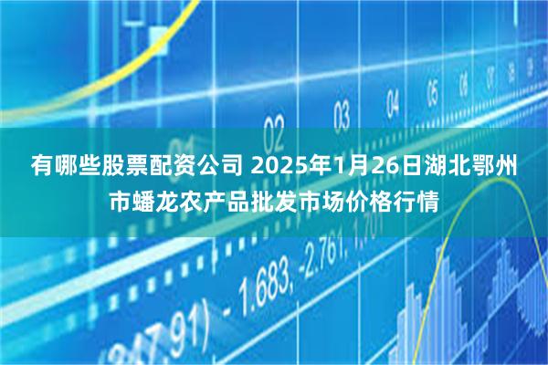 有哪些股票配资公司 2025年1月26日湖北鄂州市蟠龙农产品批发市场价格行情