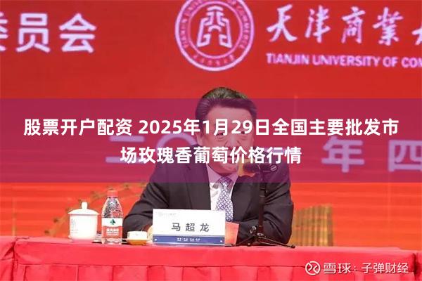 股票开户配资 2025年1月29日全国主要批发市场玫瑰香葡萄价格行情