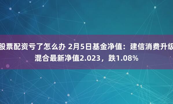 股票配资亏了怎么办 2月5日基金净值：建信消费升级混合最新净值2.023，跌1.08%