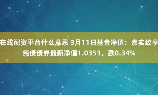 在线配资平台什么意思 3月11日基金净值：嘉实致享纯债债券最新净值1.0351，跌0.34%