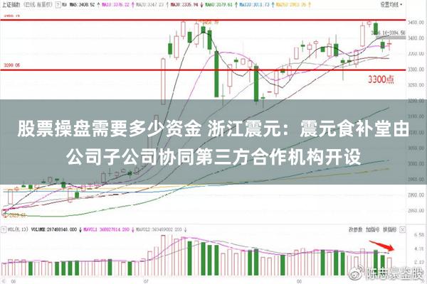 股票操盘需要多少资金 浙江震元：震元食补堂由公司子公司协同第三方合作机构开设